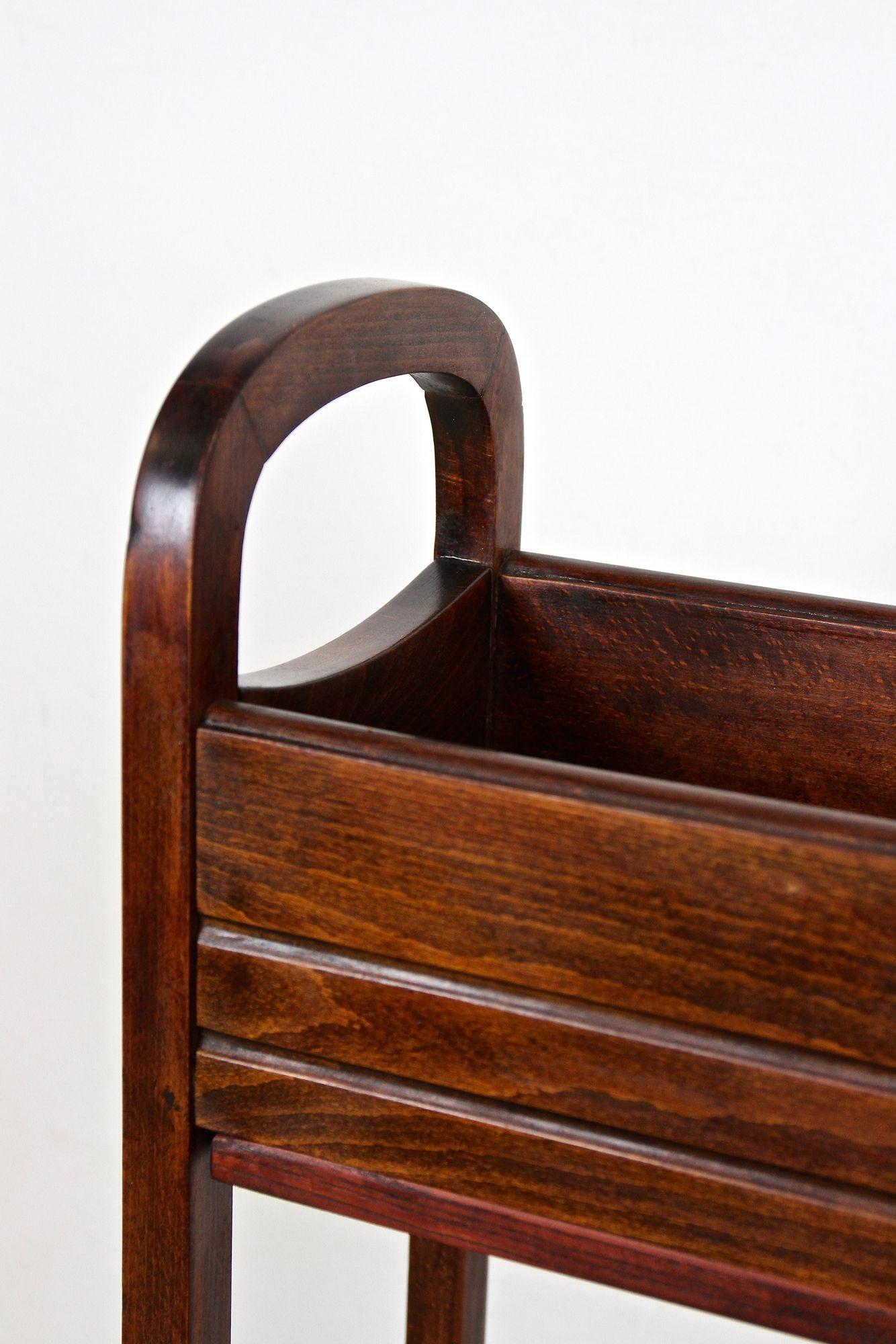 20. Jahrhundert Jugendstil Thonet Blumenkübel / Pflanzenständer, Bugholz, AT ca 1915 im Angebot 3