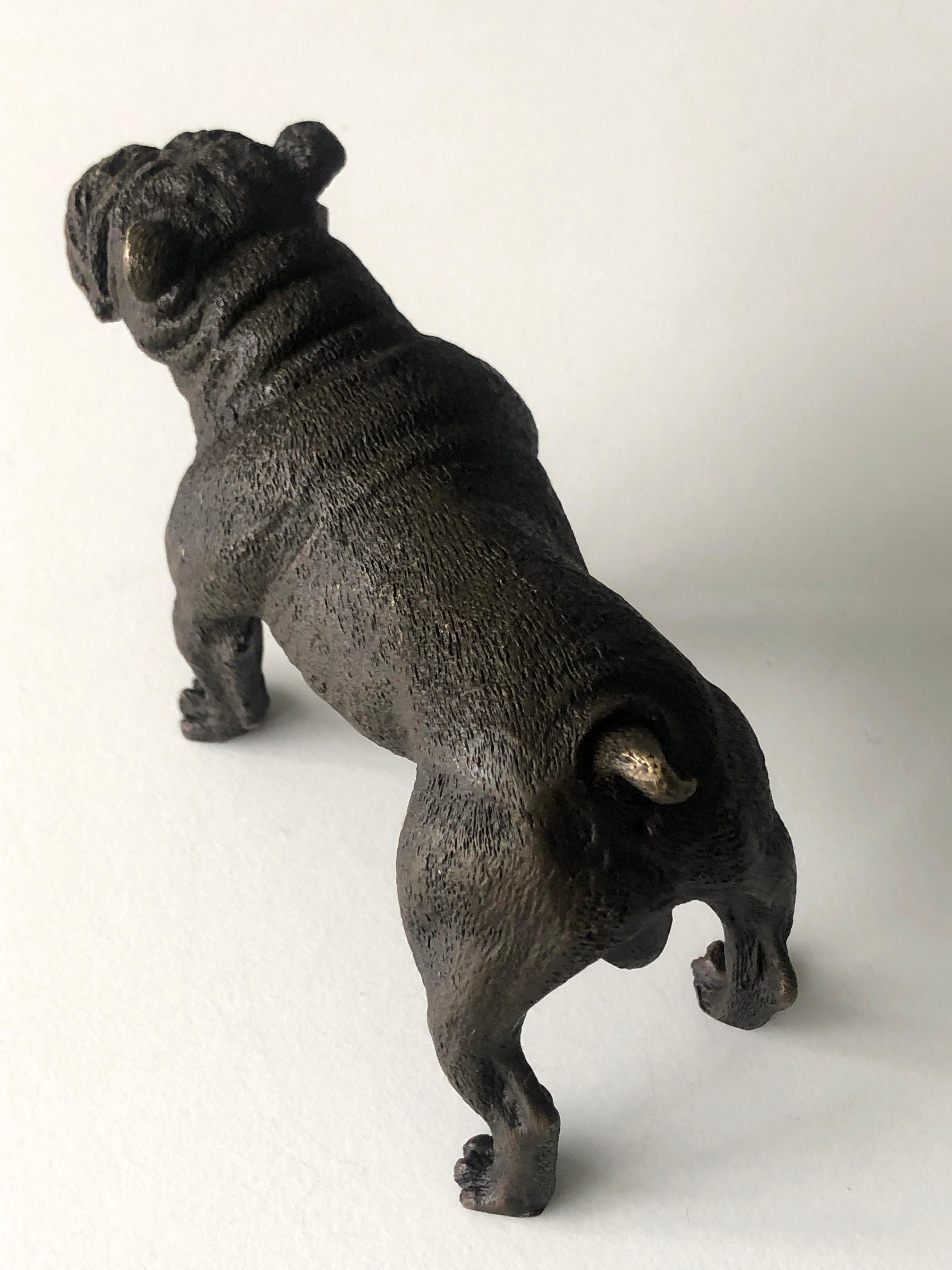 20th Century Austrian Bronze standing English Bulldog, Franz Bergman (Mangreb) For Sale 8