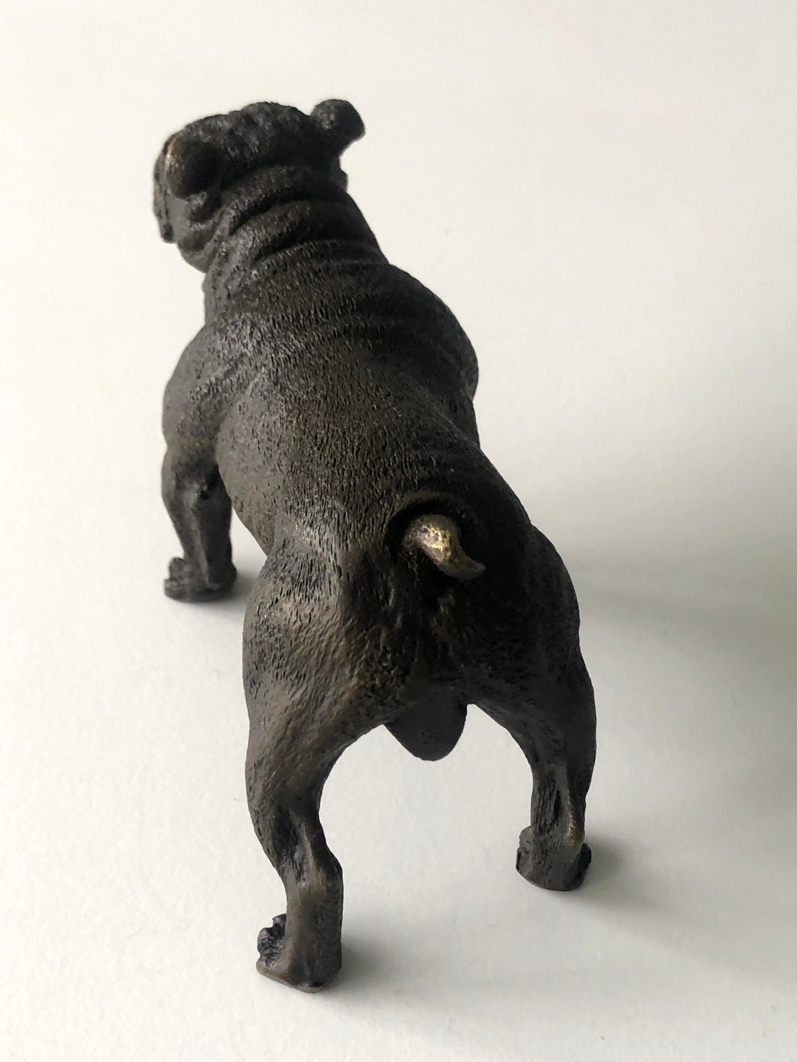 20th Century Austrian Bronze standing English Bulldog, Franz Bergman (Mangreb) For Sale 9