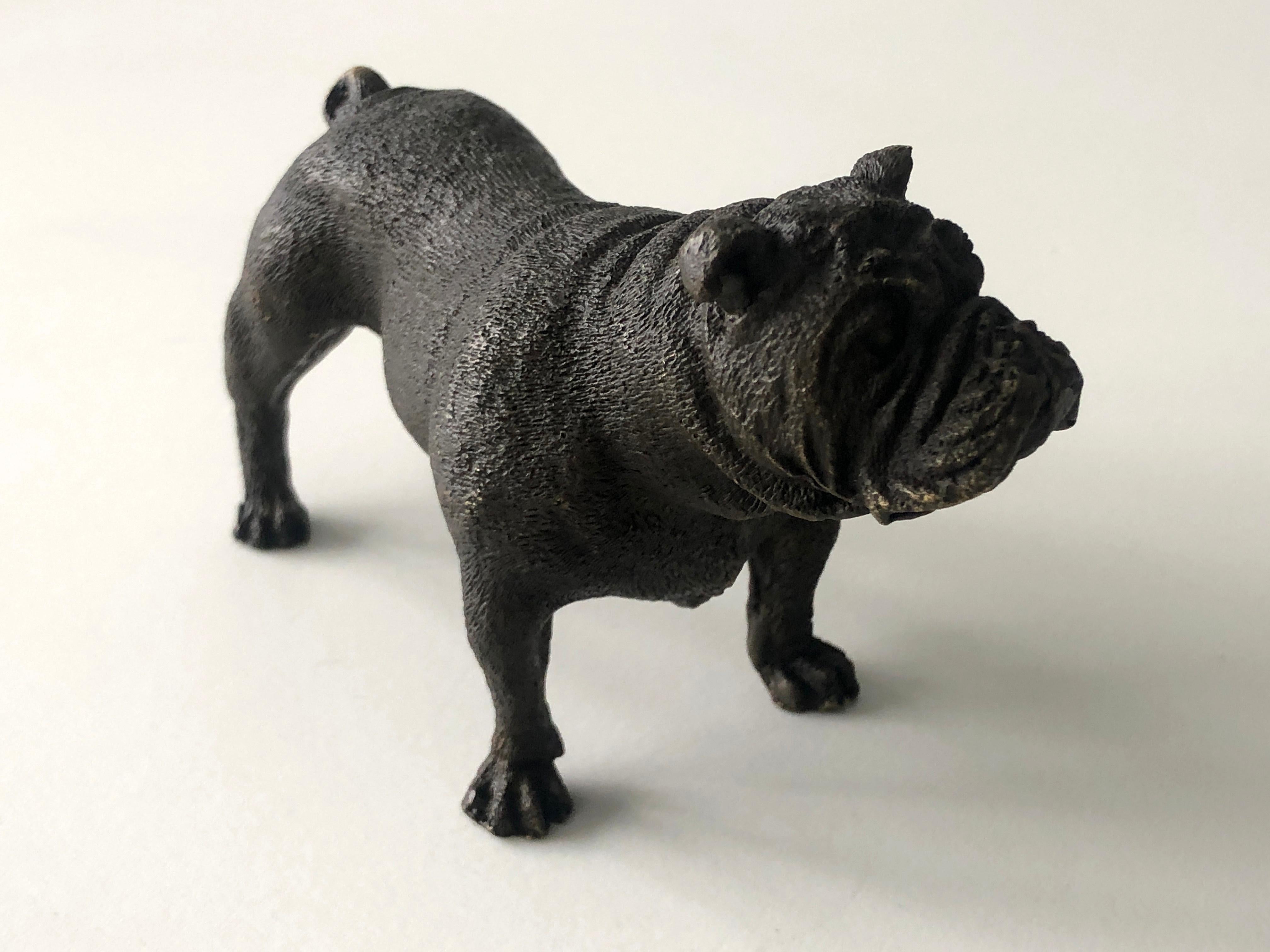 This 20th Century Austrian Vienna Bronze depicts a standing English Bulldog, attributed to Franz Bergman (Mangreb). Crafted with exquisite detail, the piece showcases a warm dark brown patina, characteristic of Bergman's work.

Signed by Bergman and