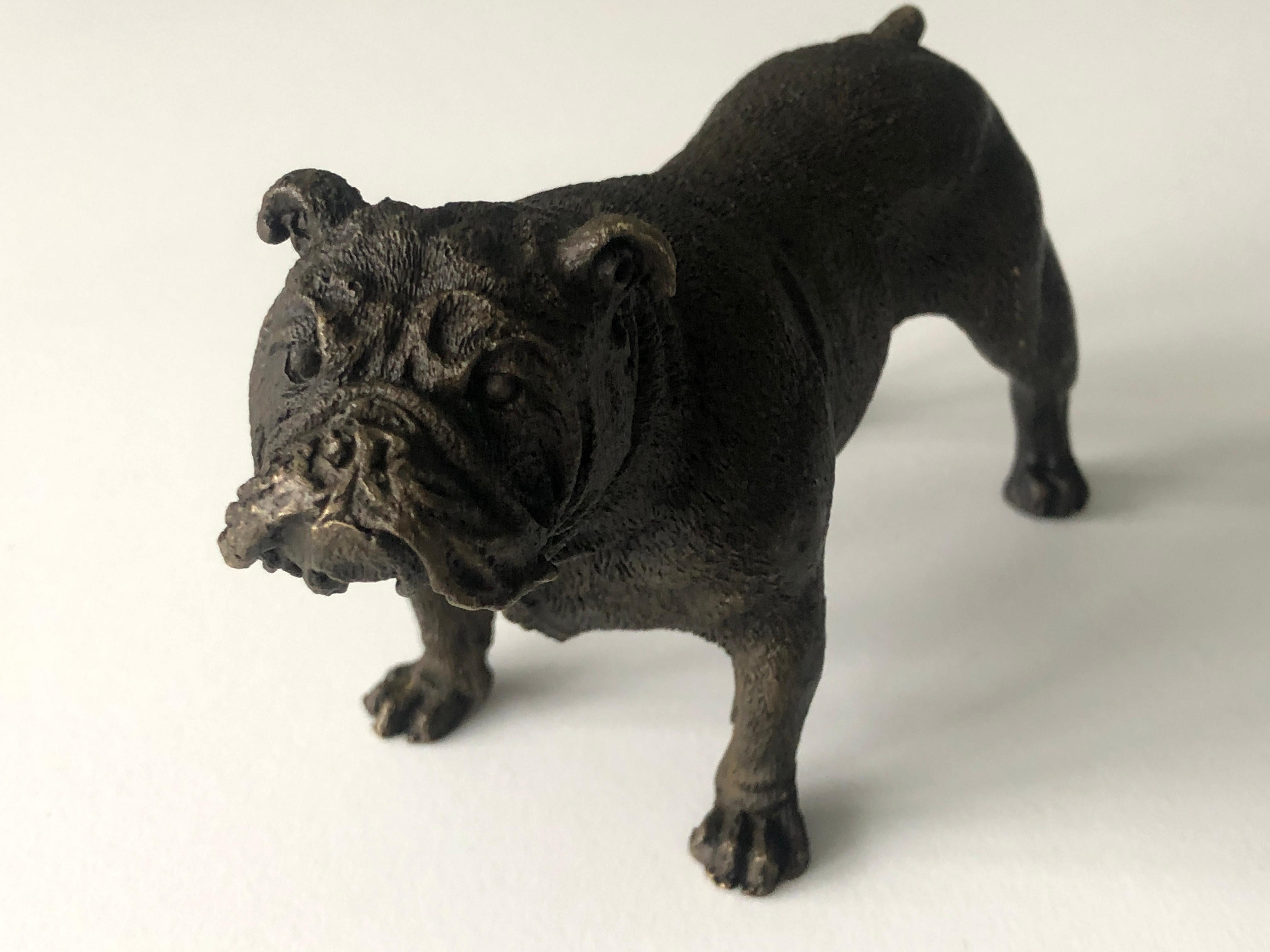 Jugendstil 20th Century Austrian Bronze standing English Bulldog, Franz Bergman (Mangreb) For Sale