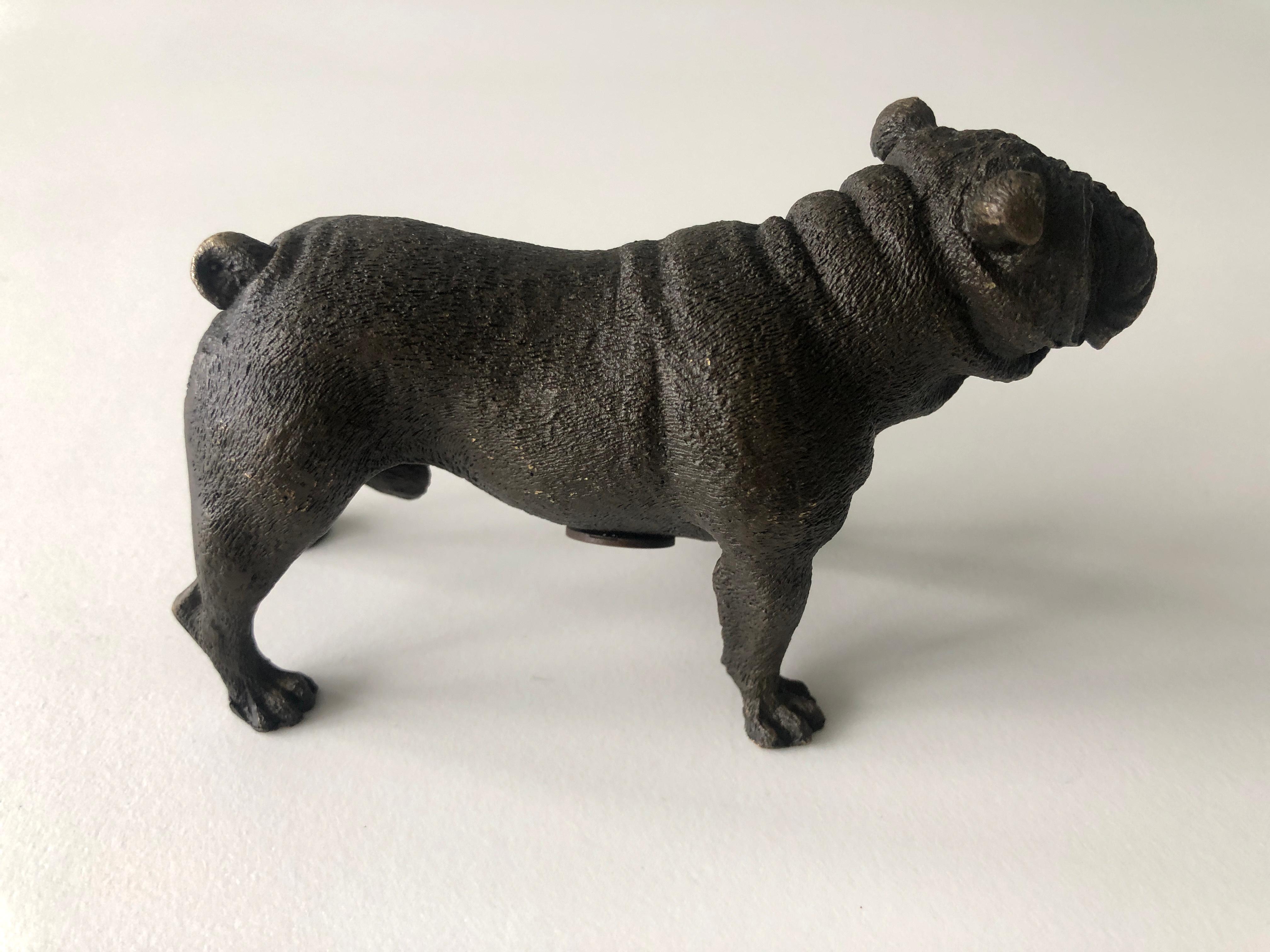 20th Century Austrian Bronze standing English Bulldog, Franz Bergman (Mangreb) In Good Condition For Sale In EINDHOVEN, NL