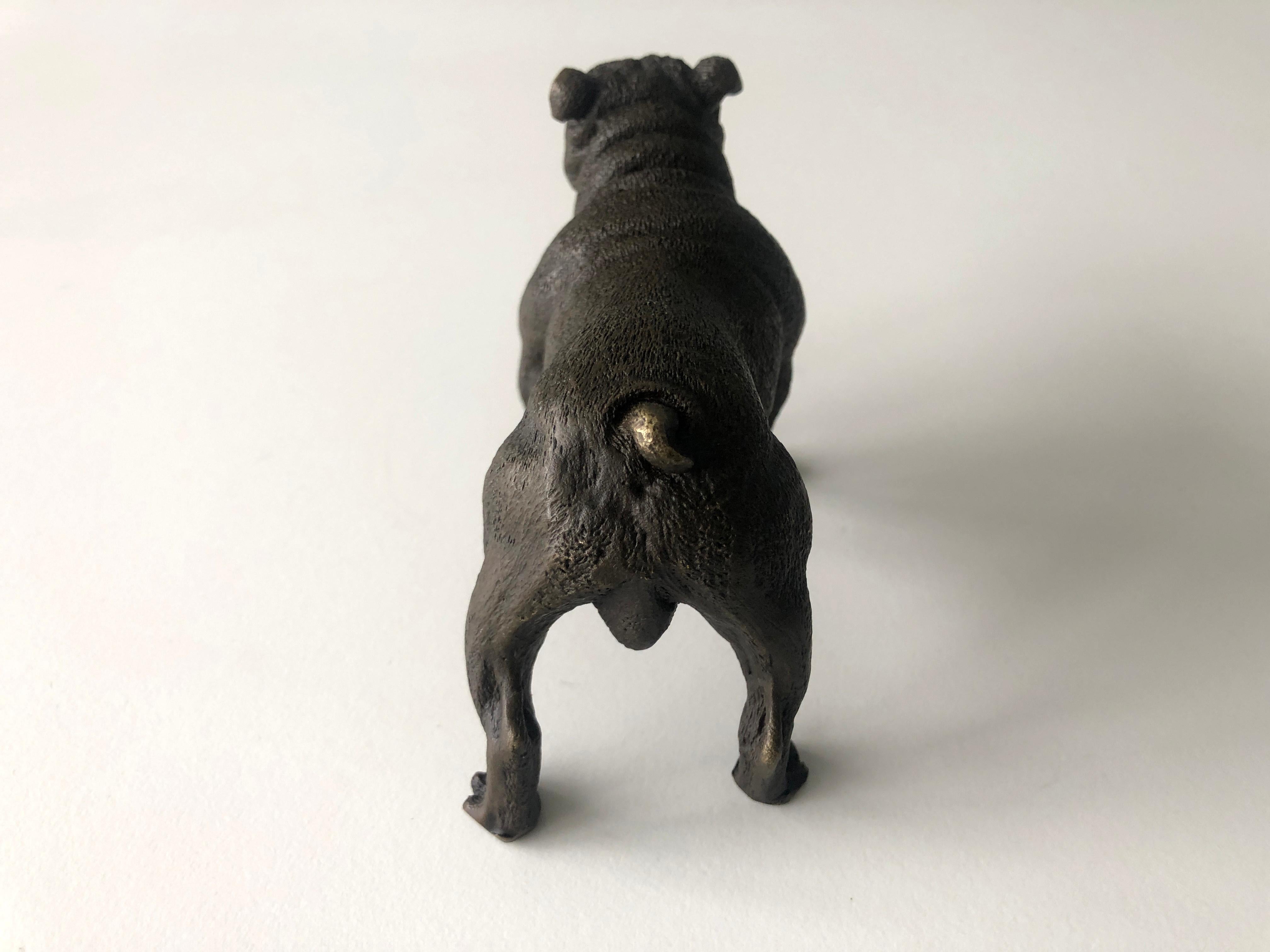 20th Century Austrian Bronze standing English Bulldog, Franz Bergman (Mangreb) For Sale 1