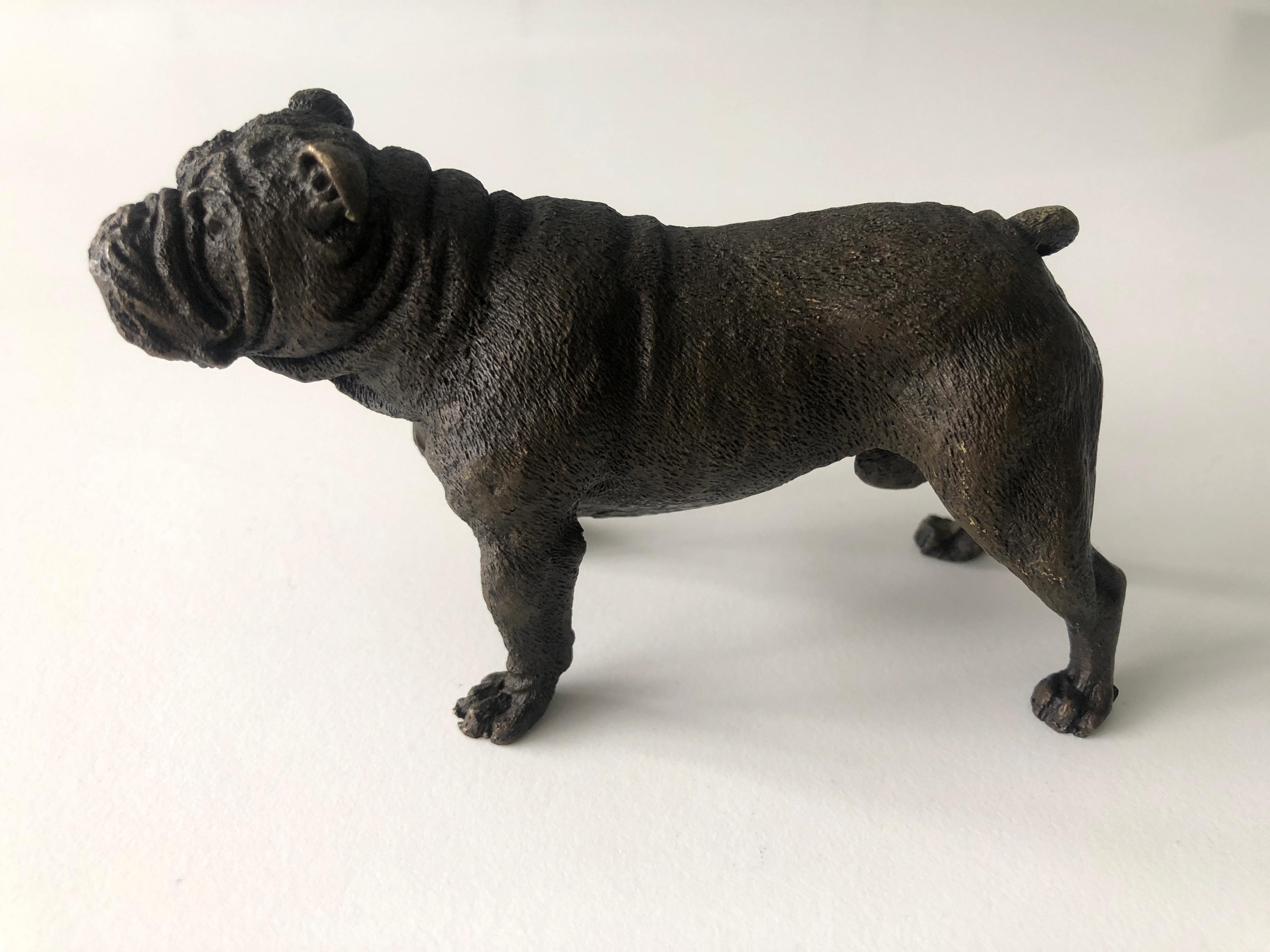 20th Century Austrian Bronze standing English Bulldog, Franz Bergman (Mangreb) For Sale 2