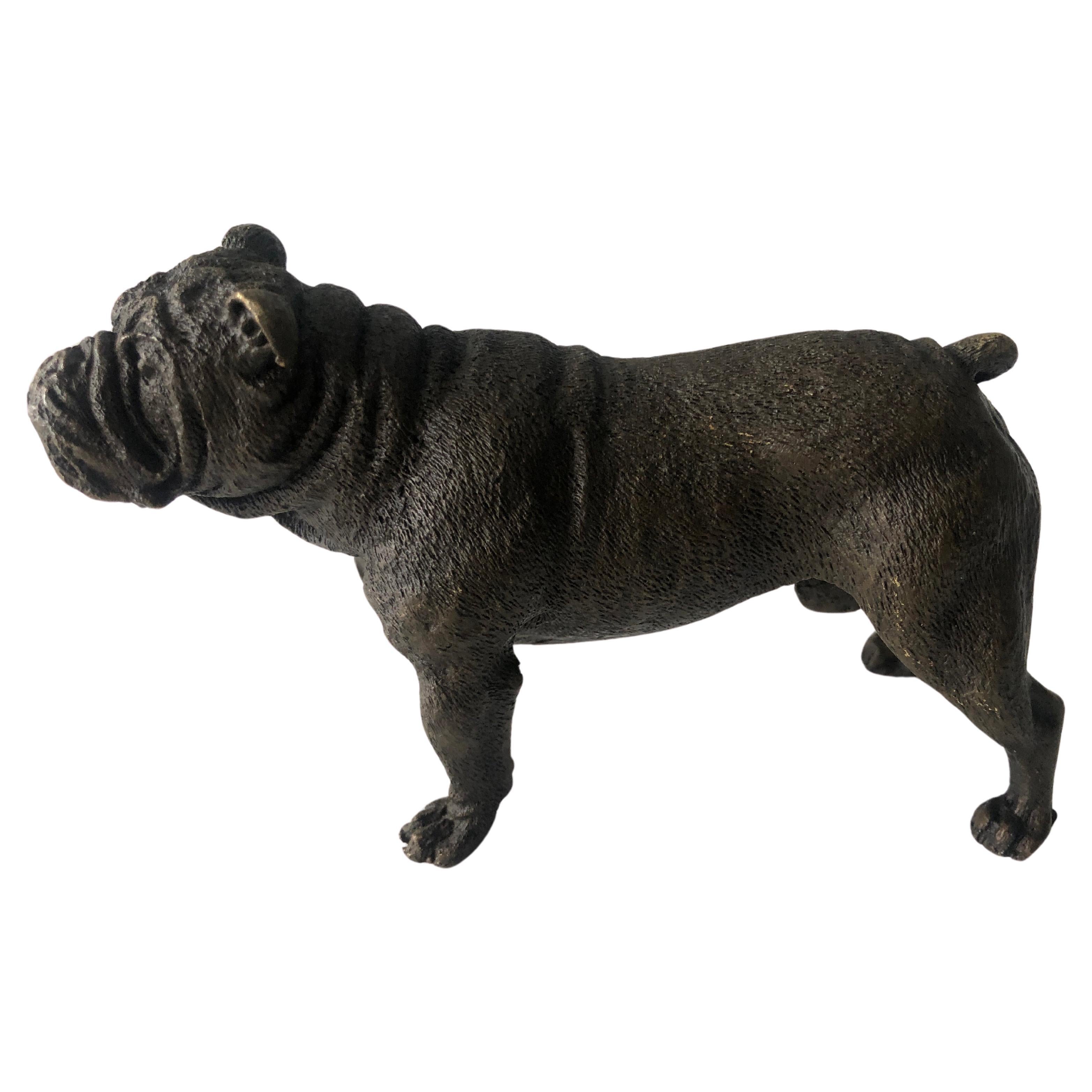 20th Century Austrian Bronze standing English Bulldog, Franz Bergman (Mangreb) For Sale