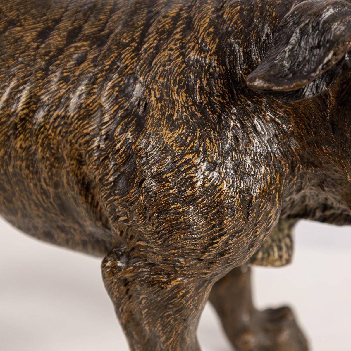 20th Century Austrian Cold Painted Bronze Bulldog, Franz Bergman, c.1910 For Sale 8