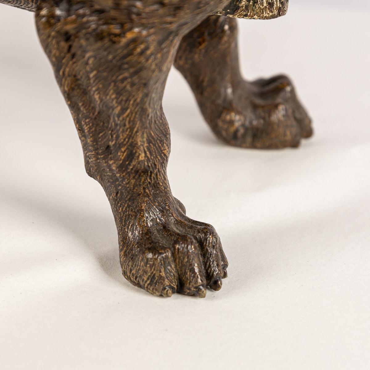 Österreichische Kaltbemalte Bronze- Bulldogge des 20. Jahrhunderts, Franz Bergman, um 1910 im Angebot 13