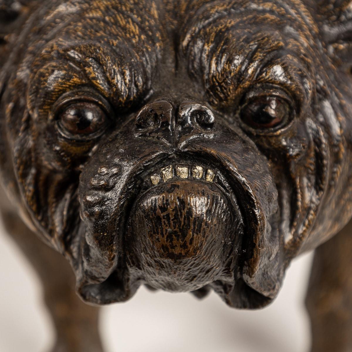 Bronze Bulldog autrichien du 20ème siècle en bronze peint à froid, Franz Bergman, vers 1910 en vente