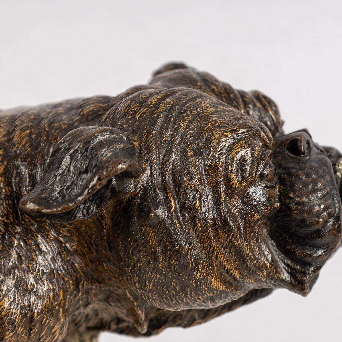 Österreichische Kaltbemalte Bronze- Bulldogge des 20. Jahrhunderts, Franz Bergman, um 1910 im Angebot 6
