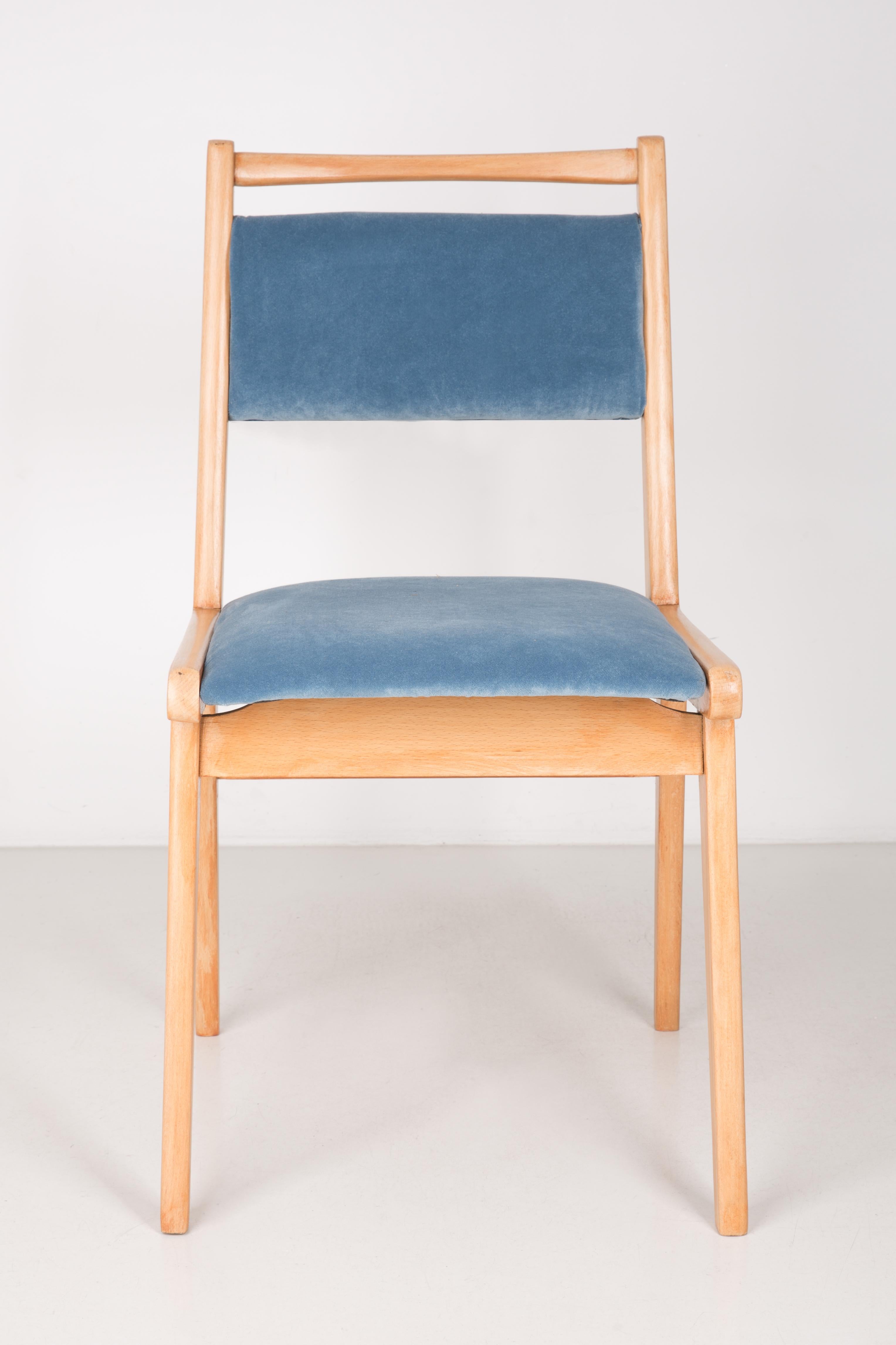 Chair designed by prof. Rajmund Halas. Made of beechwood. Chair is after a complete upholstery renovation, the woodwork has been refreshed. Seat and back is dressed in a light blue, durable and pleasant to the touch velvet fabric. Chair is stable