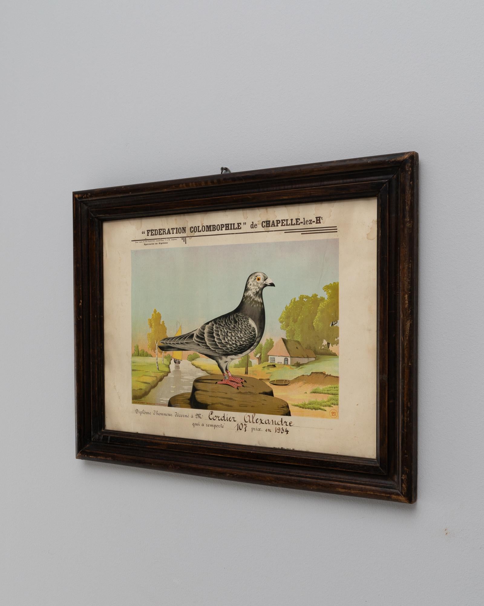 Dieses belgische Kunstwerk aus dem 20. Jahrhundert, das in einem klassischen Holzrahmen untergebracht ist, ist eine reizvolle Anspielung auf das reiche Erbe der Vogelkunst. Es zeigt eine detaillierte Illustration einer stolzen Taube, einer Art, die
