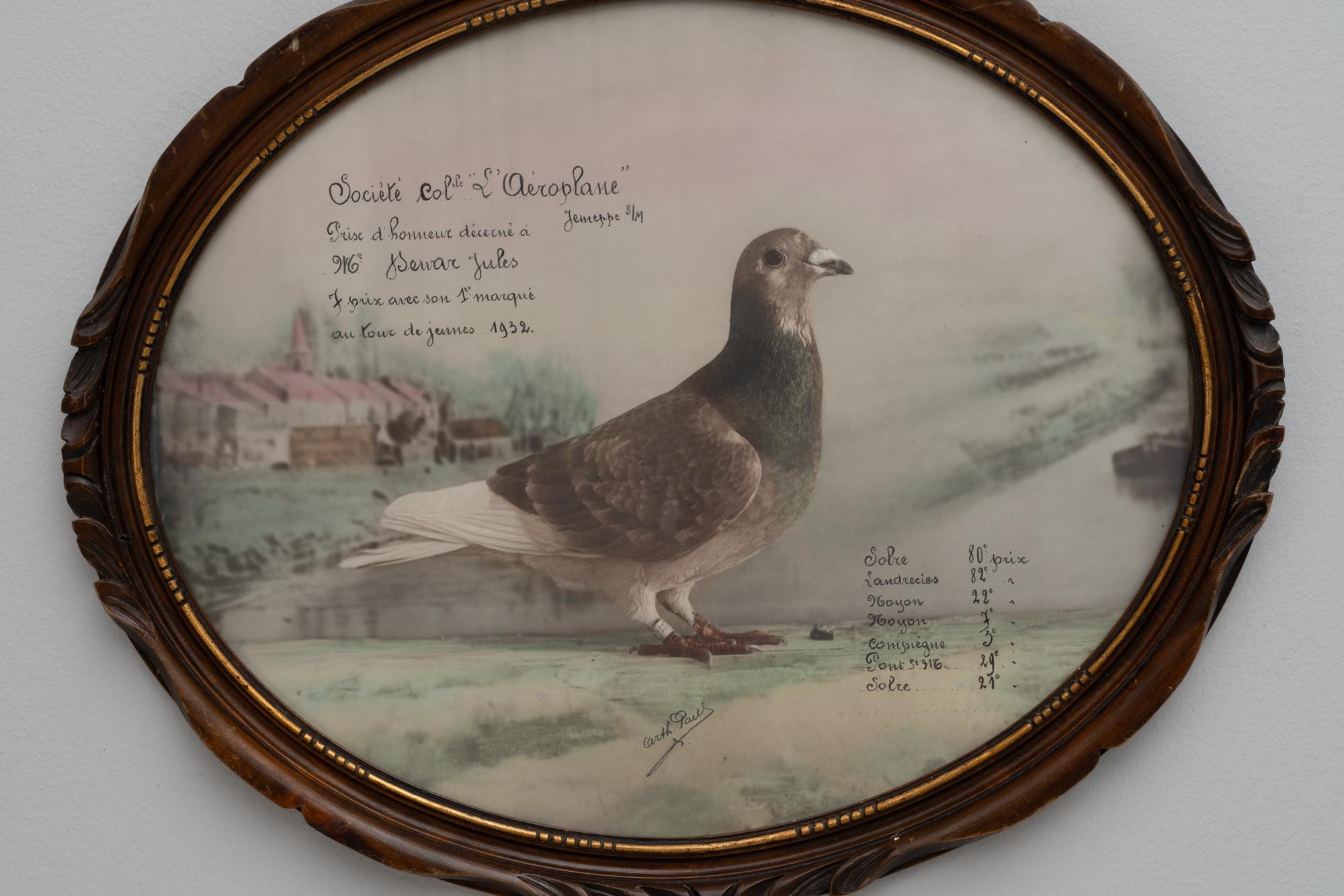 This 20th Century Belgian artwork, beautifully encased in an oval wooden frame, exudes a sense of nostalgia and natural elegance. The painting showcases a solitary pigeon, portrayed with such realistic detail that it seems almost poised to take