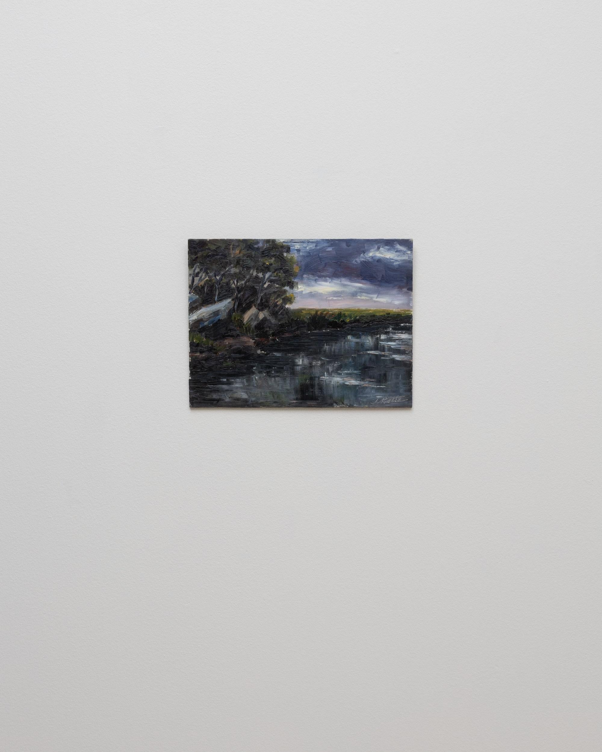 Dieses belgische Landschaftsgemälde aus dem 20. Jahrhundert zeigt eine stimmungsvolle, atmosphärische Ansicht von Wasser, Bäumen und einem weiten Himmel, der mit ausdrucksstarken, strukturierten Pinselstrichen dargestellt ist. Tiefe Grüntöne und