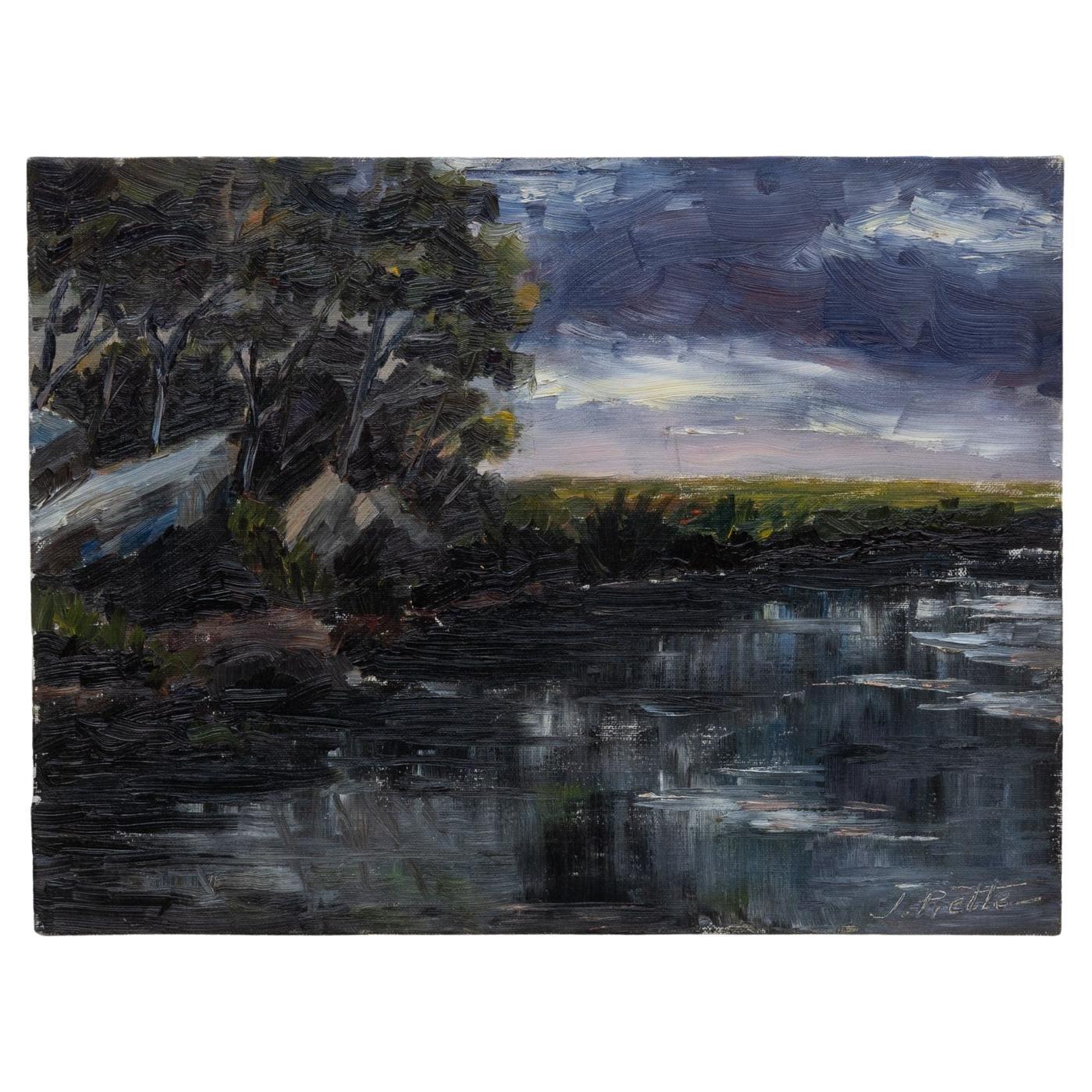 Belgische Landschaftsmalerei des 20. Jahrhunderts