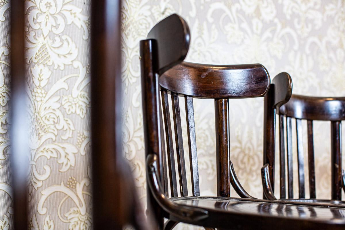 20th-Century Bentwood Beech Chairs in the Thonet Type in Dark Brown 8