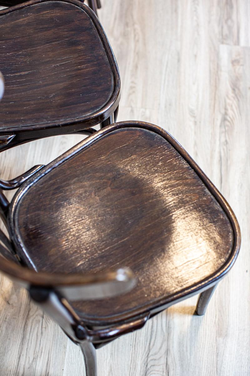 20th-Century Bentwood Beech Chairs in the Thonet Type in Dark Brown 1