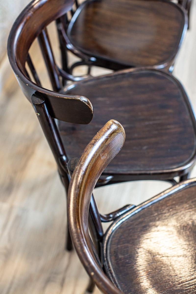 20th-Century Bentwood Beech Chairs in the Thonet Type in Dark Brown 2