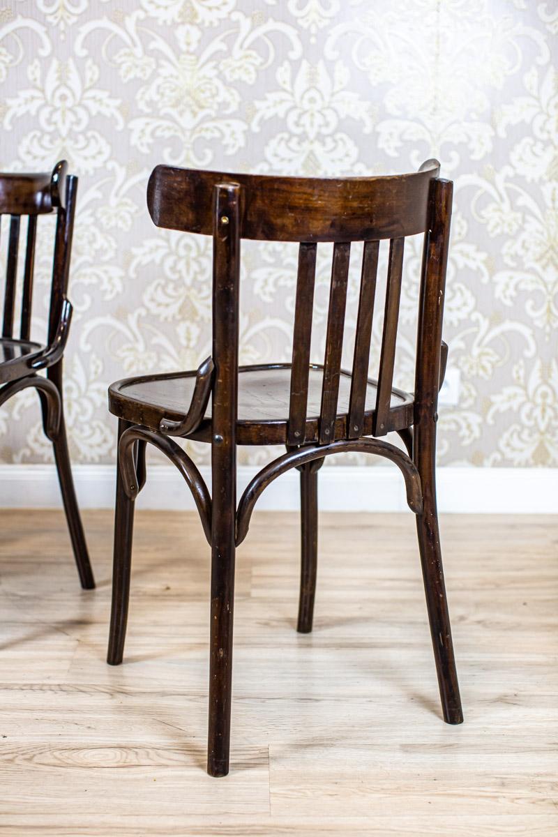 20th-Century Bentwood Beech Chairs in the Thonet Type in Dark Brown 4