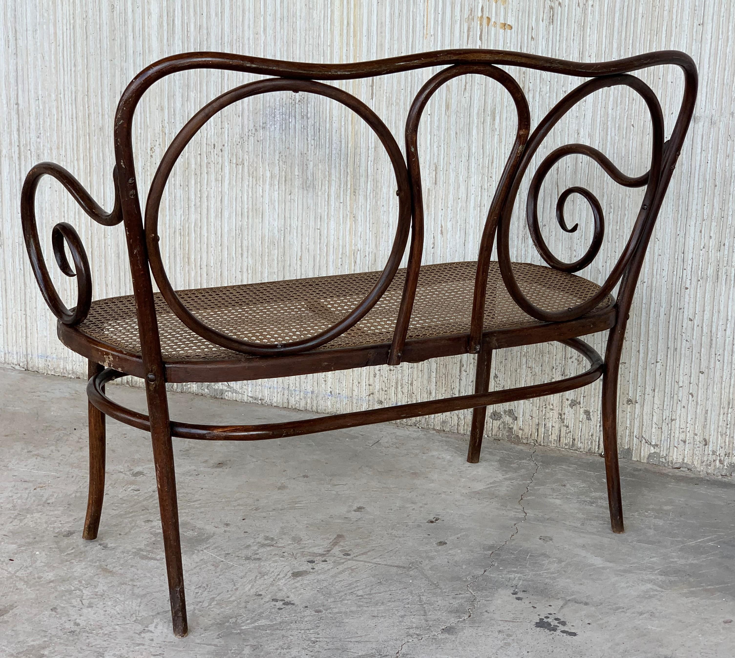 20th Century Bentwood Sofa in the Thonet Style, circa 1925, Caned Seat 4