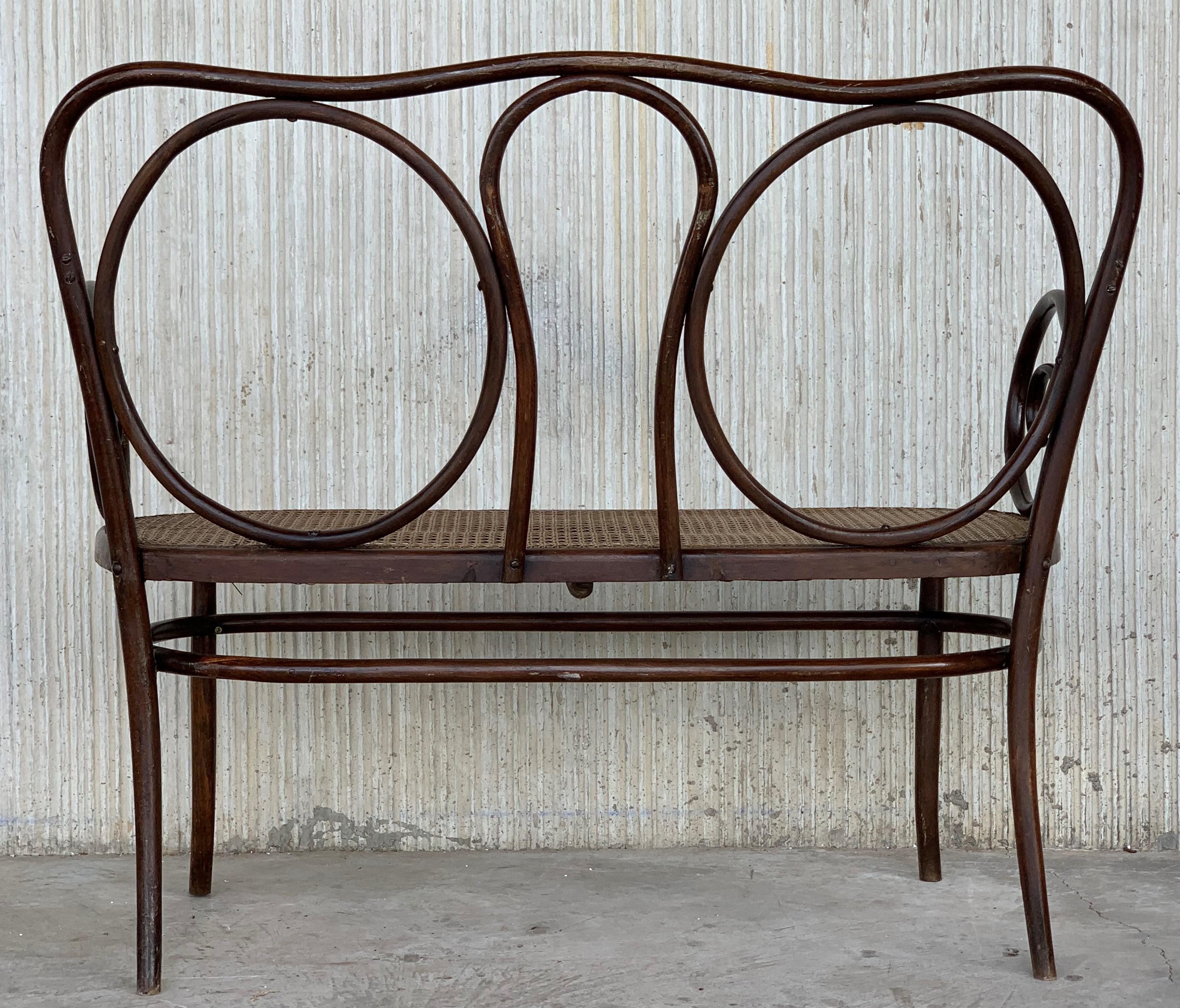 20th Century Bentwood Sofa in the Thonet Style, circa 1925, Caned Seat 5