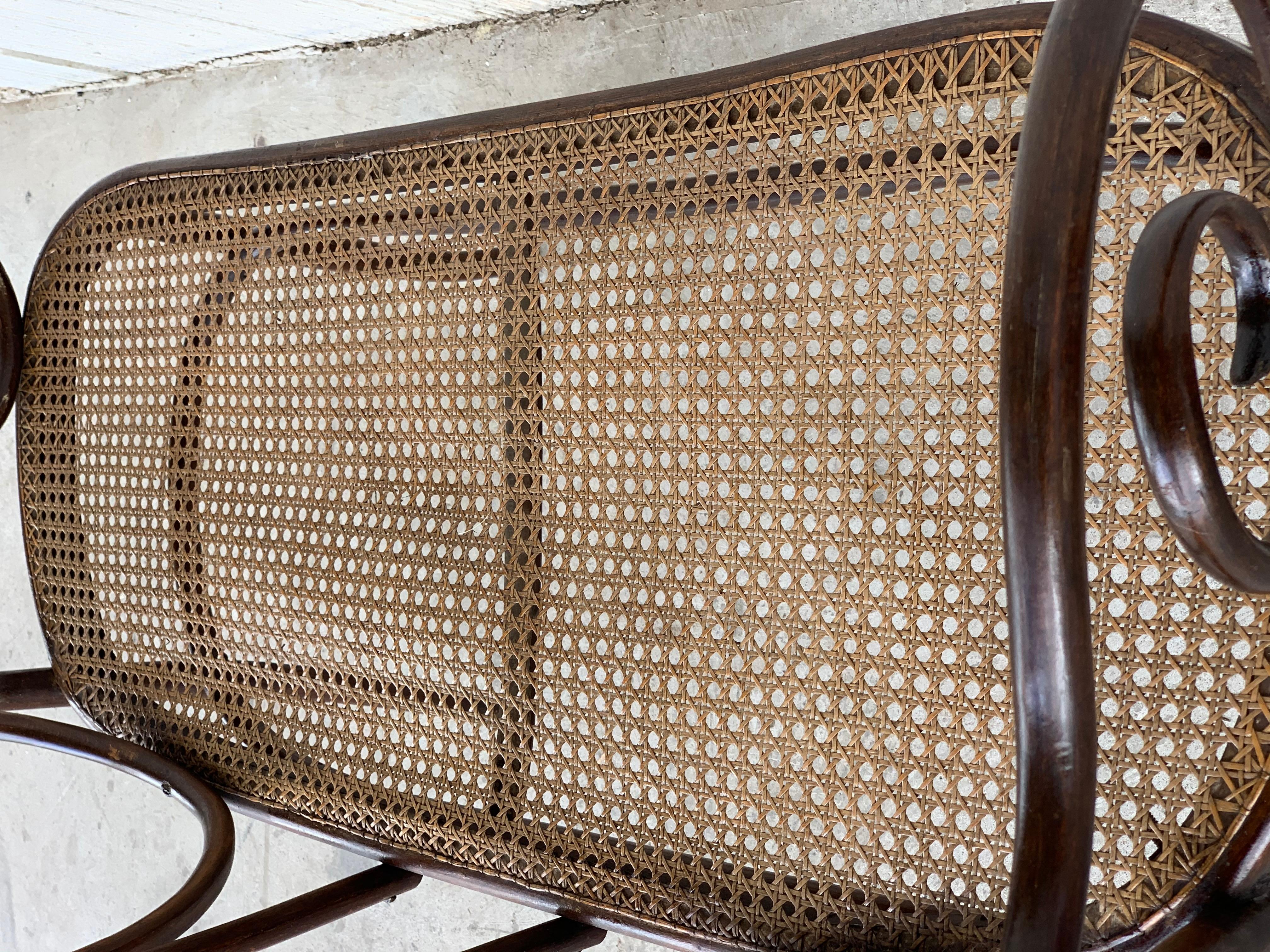 20th Century Bentwood Sofa in the Thonet Style, circa 1925, Caned Seat 6