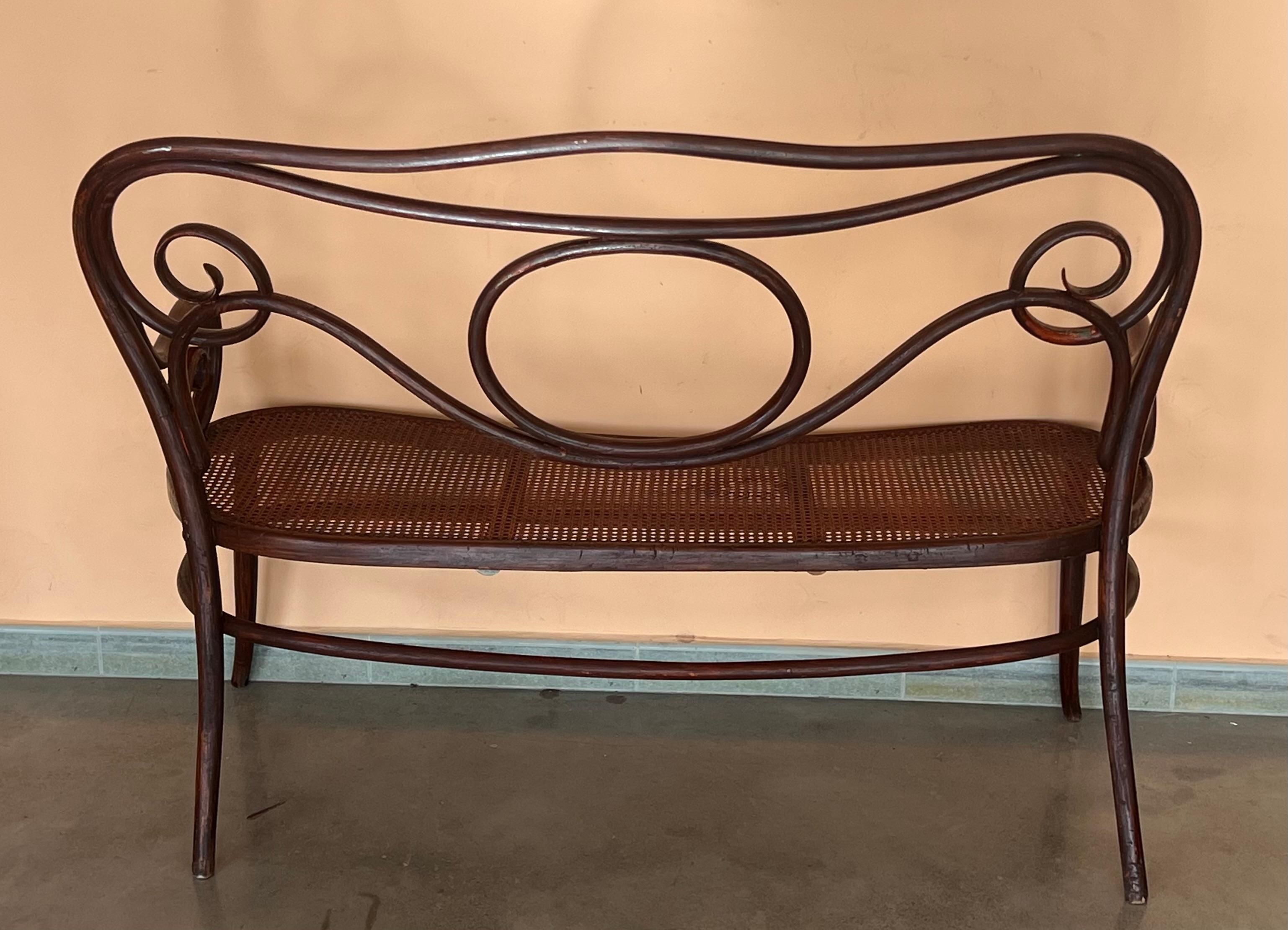 20th Century Bentwood Sofa signed by Fischel, circa 1900, Caned Seat 3