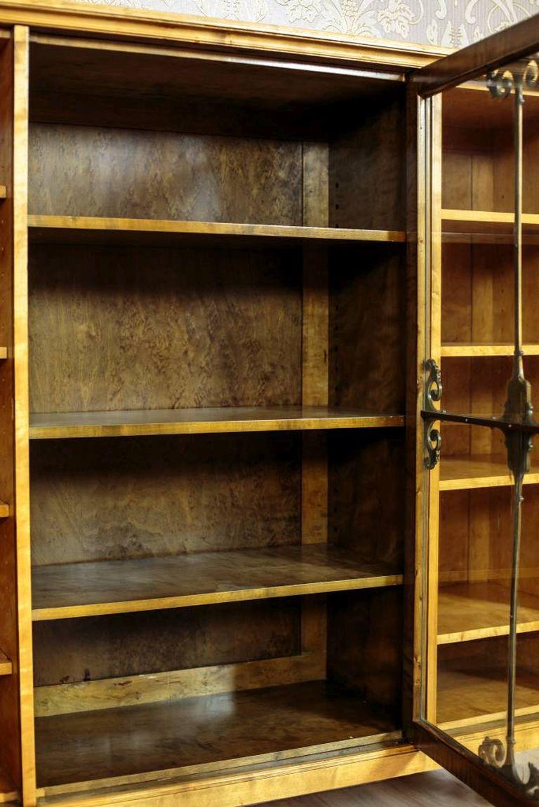 20th Century Bookcase in Birchen Veneer (Furnier)