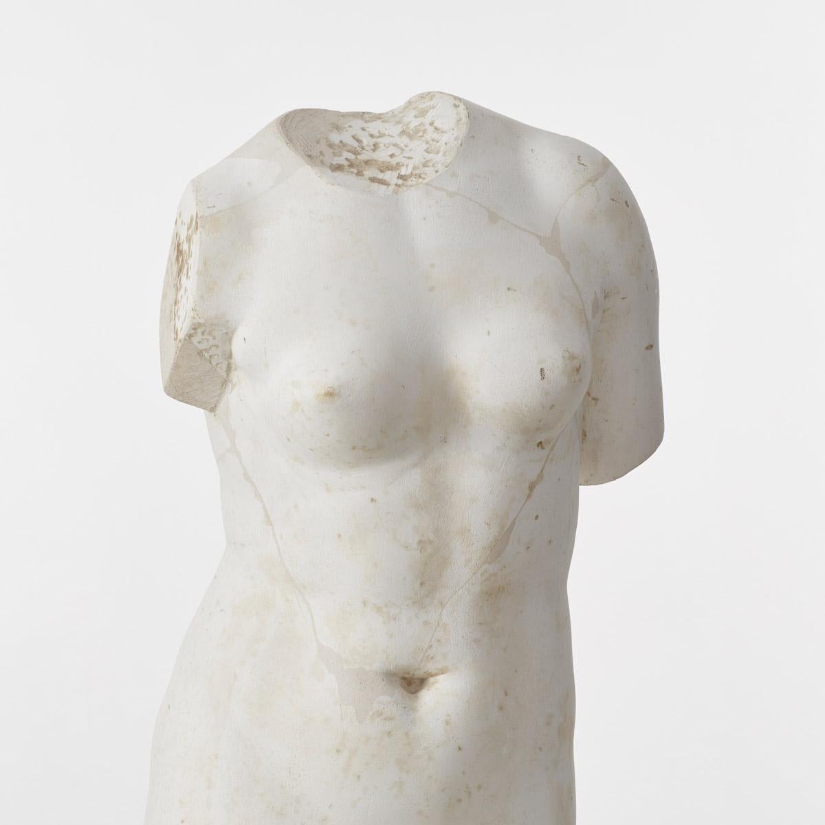 20th century British museum plaster cast of classical bust 1