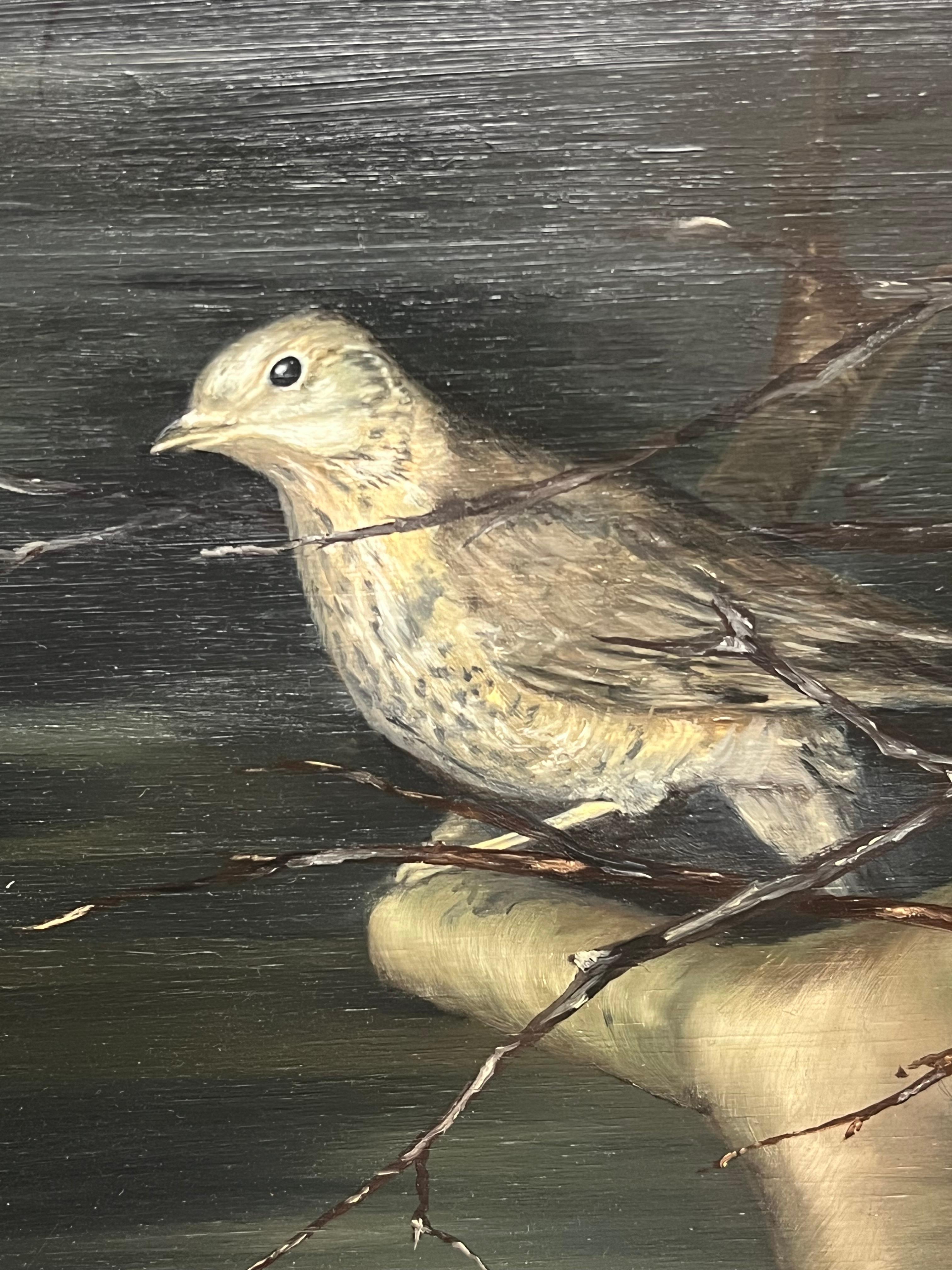 Otter Fishing the River and Bird Quiet Encounter Signed English Oil Painting 3
