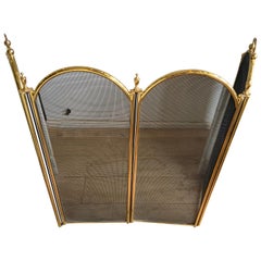 Vintage 20th Century Bronze Fire Screen from France