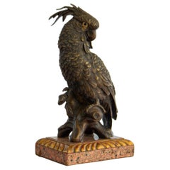 20th Century Bronze Parrot