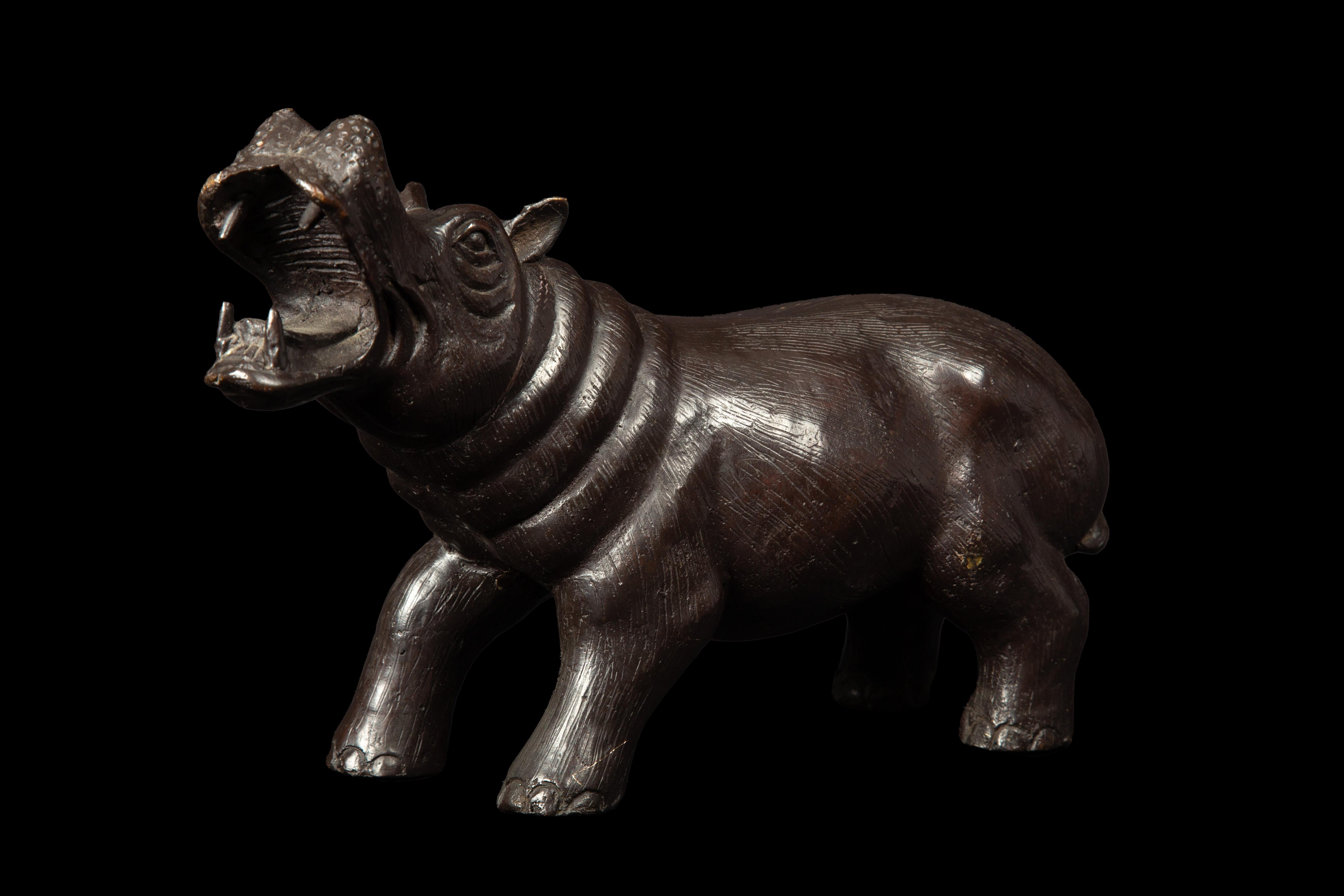 Bronze sculpture of a Hippopotamus with a brown patina showcases the creature's power and beauty. With its open mouth and intricate details, the sculpture exudes a timeless presence that commands attention.

Measure: 11