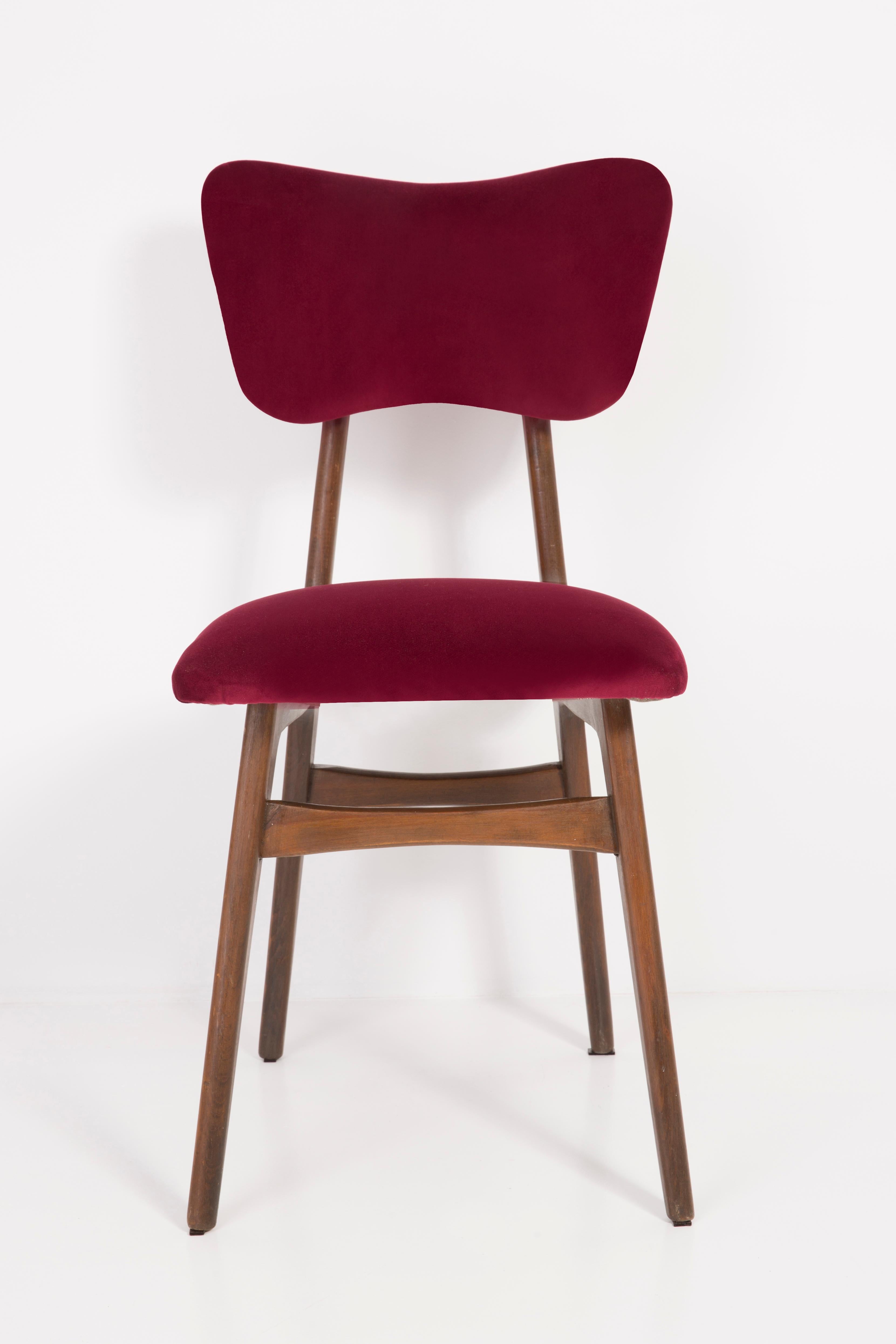Chaise conçue par le professeur Rajmund Halas. Fabriqué en bois de hêtre. Le fauteuil a subi une rénovation complète de la tapisserie et les boiseries ont été rafraîchies. L'assise et le dossier sont habillés d'un tissu en velours rouge bordeaux,
