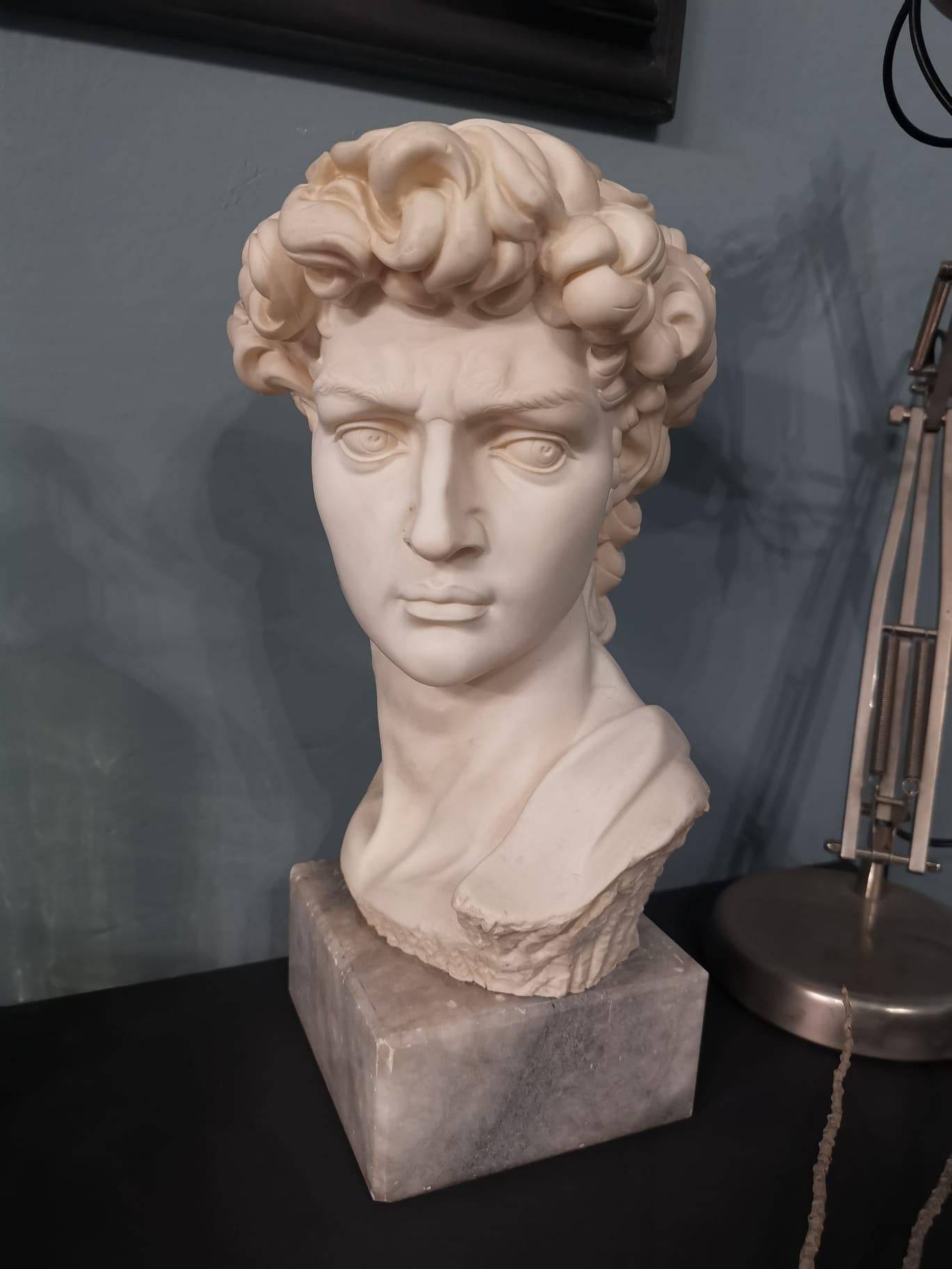20th Century Bust David by Michelangelo For Sale at 1stDibs