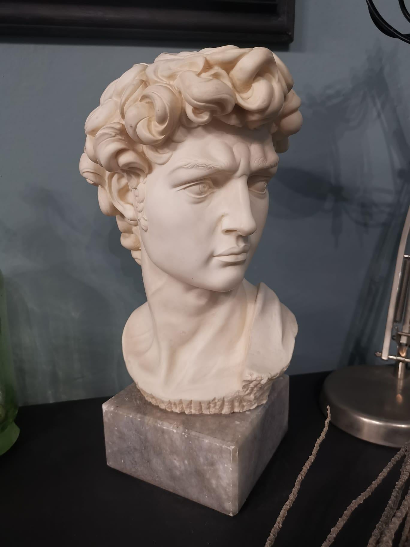 20th Century Bust David by Michelangelo For Sale at 1stDibs