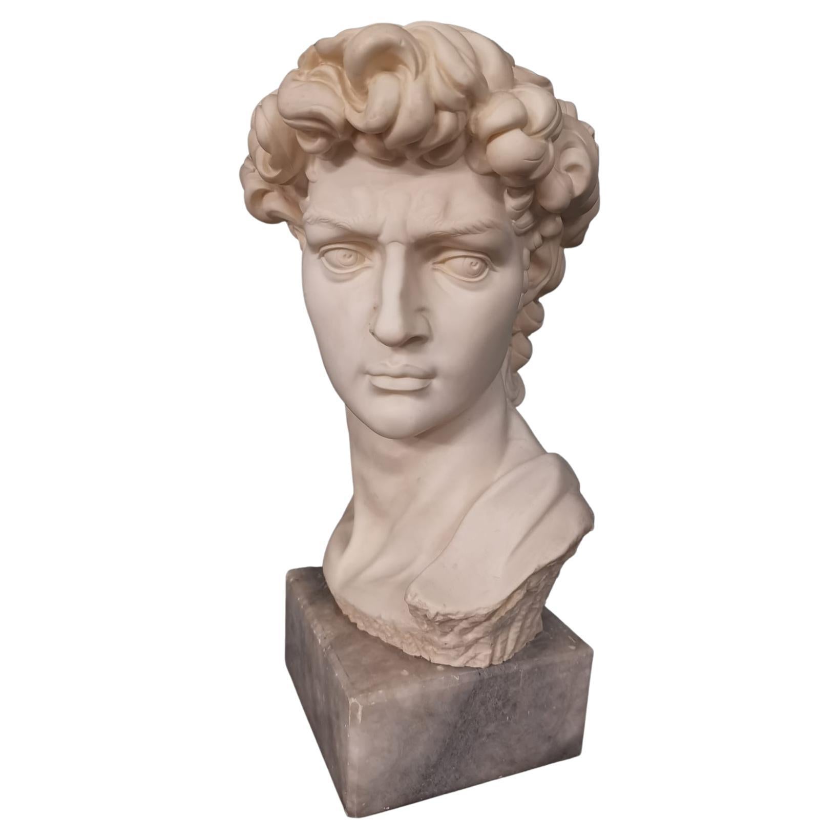 20th Century Bust David by Michelangelo For Sale at 1stDibs michelangelo david bust
