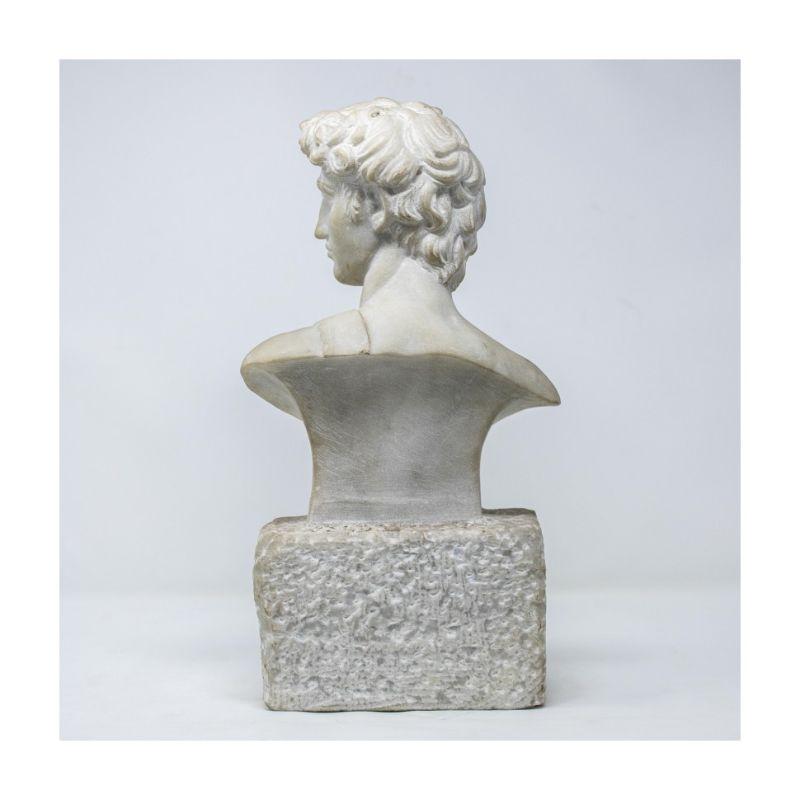 20th century 

Bust of David

Marble, 40 x 18 x 10 cm

On 16 August 1501 the consuls of the Arte della Lana and the Opera del Duomo of Florence commissioned a statue of King David from Michelangelo, to be placed in one of the external