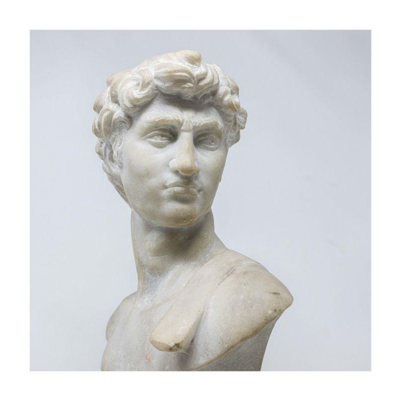 20th Century Bust of David Sculpture Marble 1