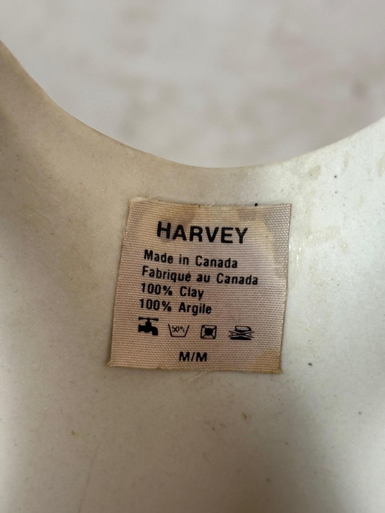 Vaso canadese del XX secolo 