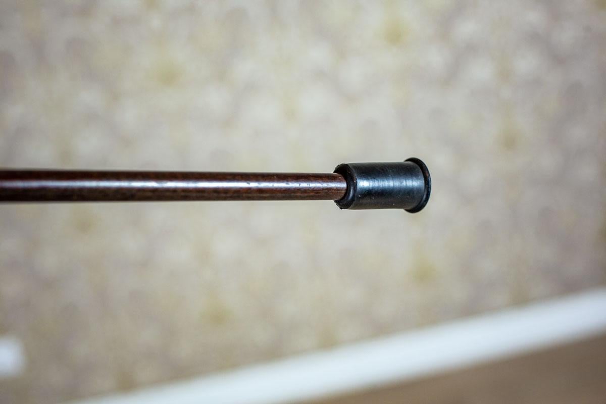 20th Century Cane with a Silver Handle 2