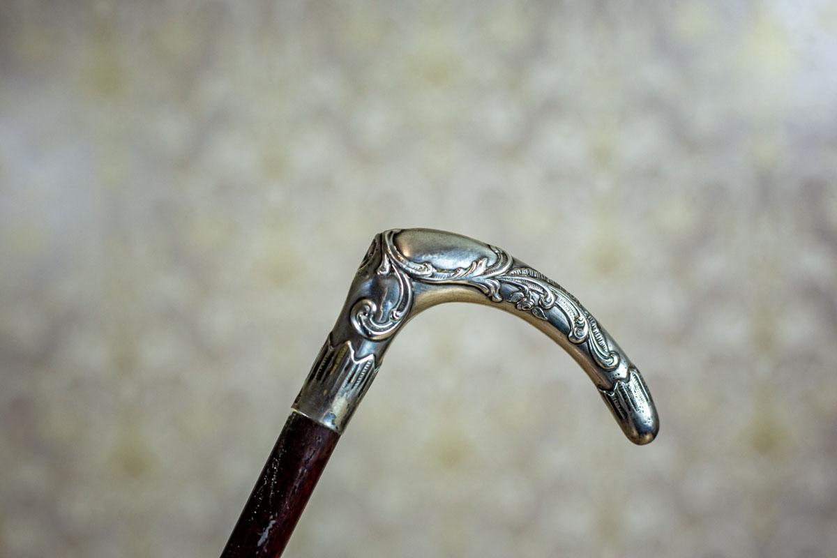20th Century Cane with a Silver Handle 3