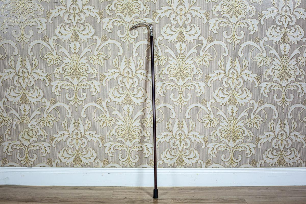 We present you a wooden cane with a rubber finish and a silver handle.

The handle is covered with an embossed pattern. The hallmark is illegible.

This cane is in very good condition. There are small dents on the finish of the top.