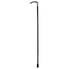 20th Century Cane with a Silver Handle