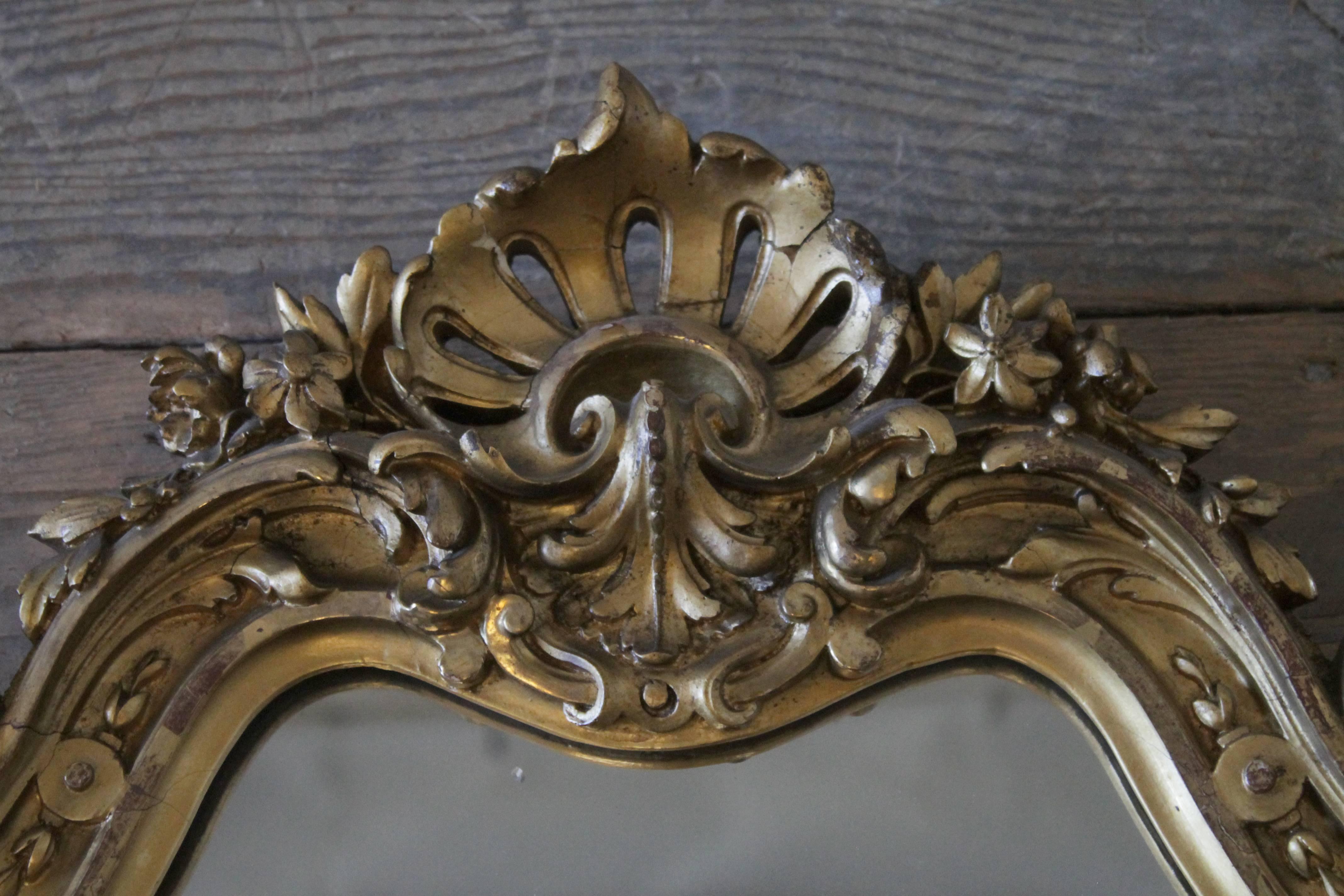 Geschnitzter Spiegel aus vergoldetem Holz im Louis XV.-Stil des 20. Jahrhunderts (Europäisch) im Angebot
