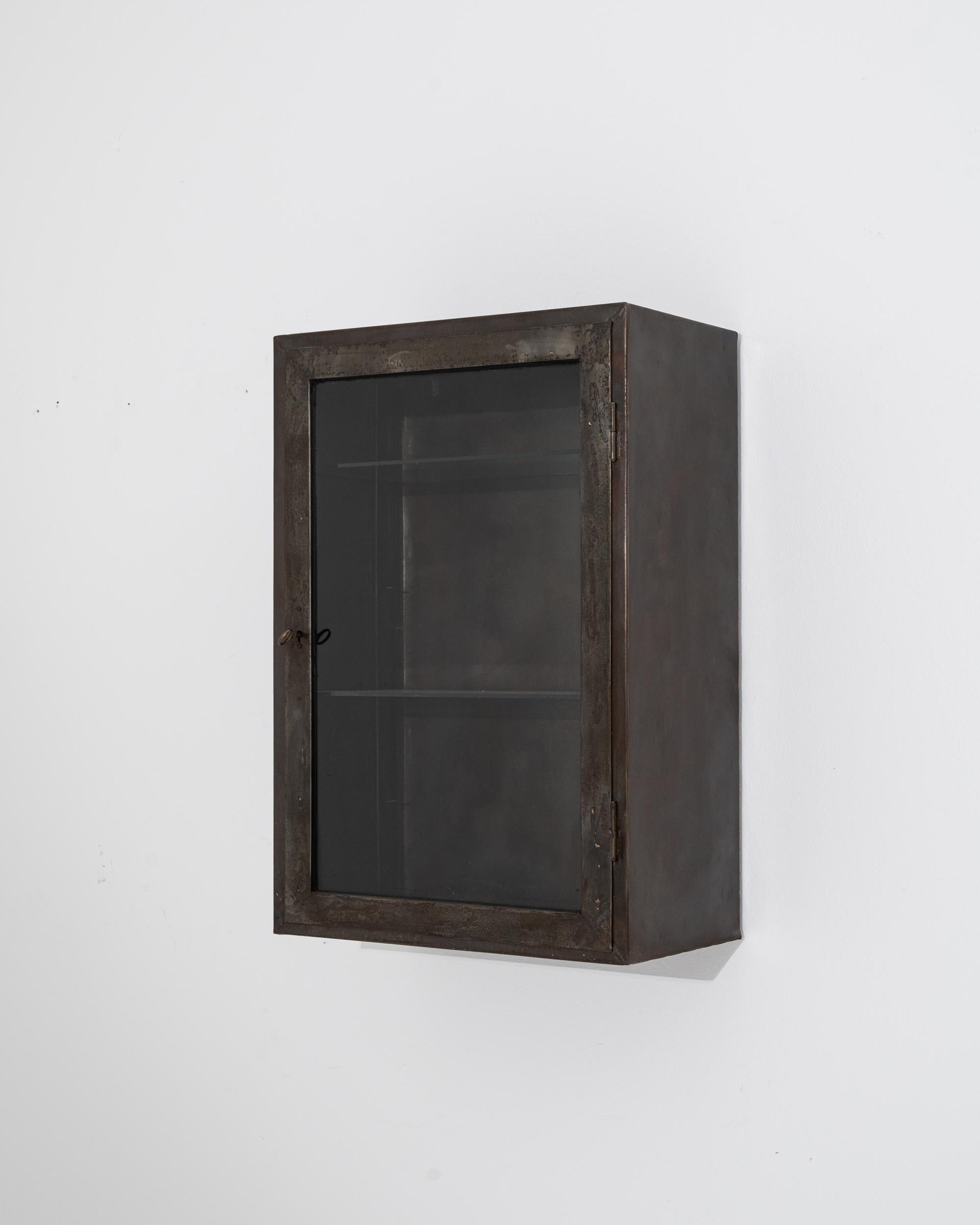 20th Century Central European Metal Cabinet For Sale 1