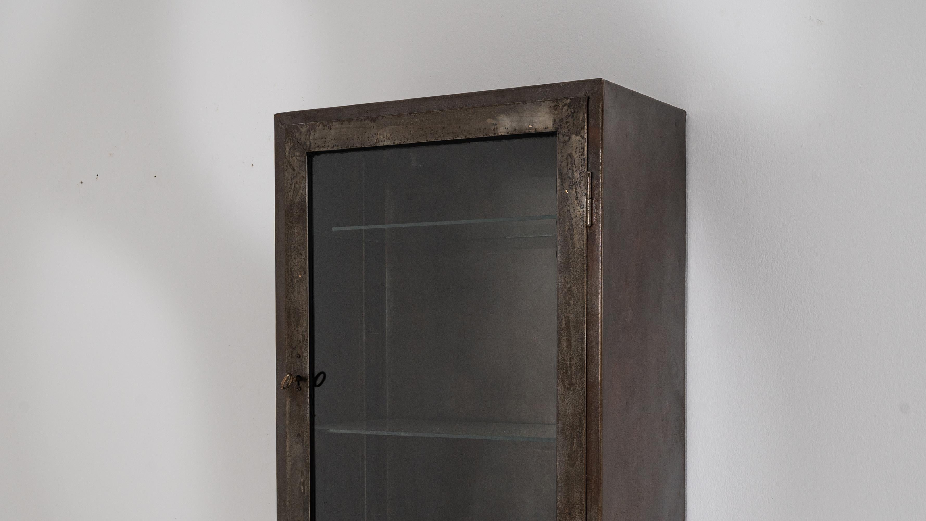 20th Century Central European Metal Cabinet For Sale 5