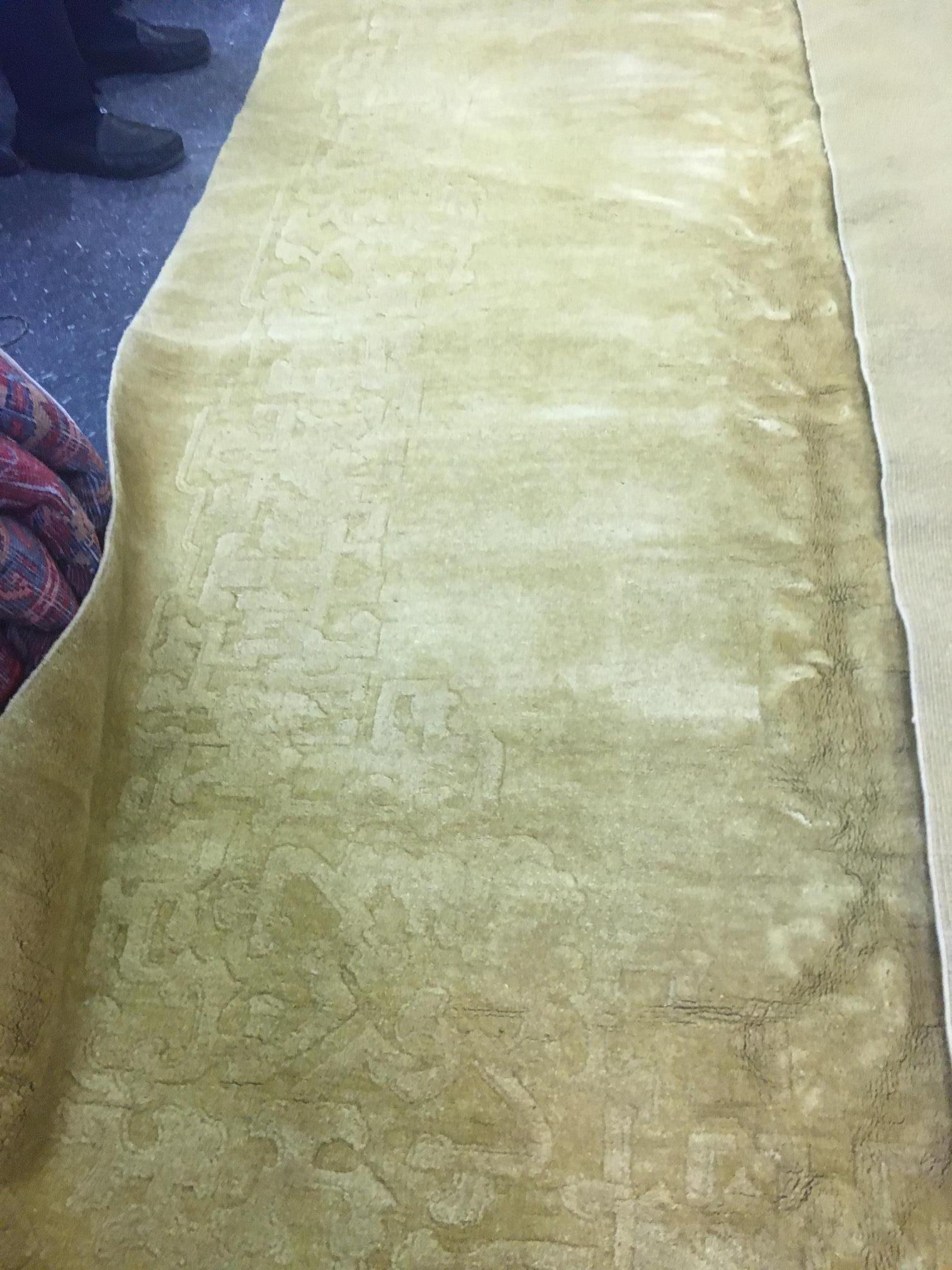 20th century Chinese Carpet with Sculpted Border For Sale 1