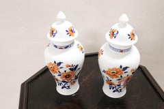 20th Century Chinese Pair of Vase in Porcelain with Floral Motifs