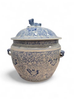 20th Century Chinese Porcelain Ginger Jar