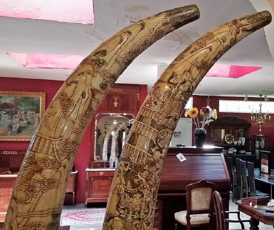 elephant tusks for sale